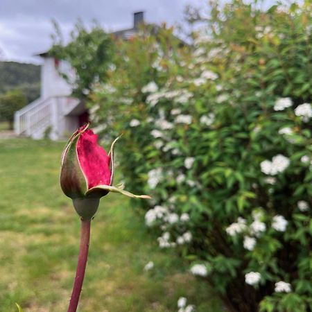 A Casina Casa Rural En Galicia Ourense Zewnętrze zdjęcie