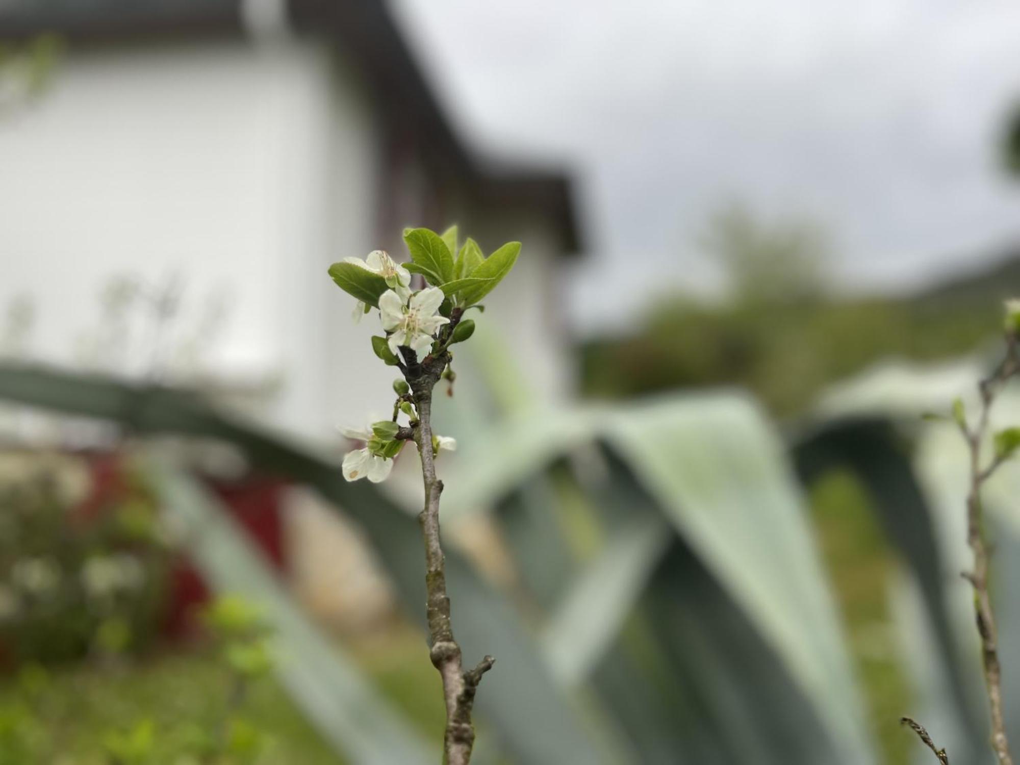 A Casina Casa Rural En Galicia Ourense Pokój zdjęcie